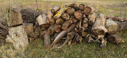 A small pile of firewood stacked