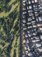 limit between forest and the city