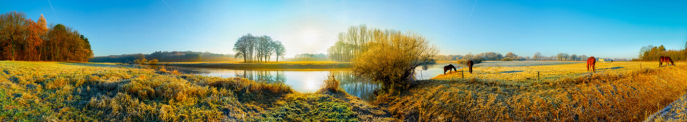 Panorama einer Landschaft im Herbst mit Pferden auf einer Weide am Fluss