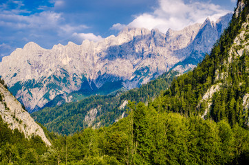 Fototapeta na wymiar Boschi e montagne in Austria