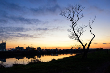 夕暮れの岸辺、多摩川