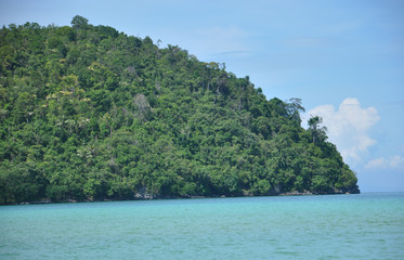 Fototapeta premium Green island