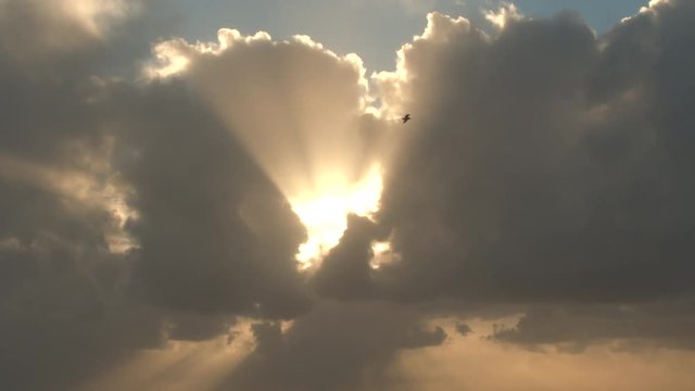 Birds soaring in the sky with sun shining and beaming through cloudscape at sunset.