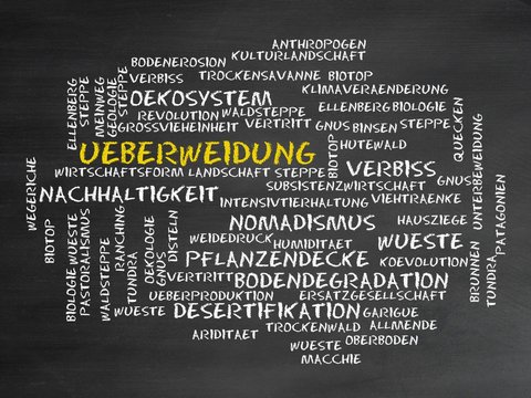 &Uuml;berweidung