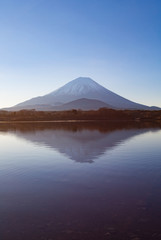 Fototapeta na wymiar Mountain Fuji and Lake Shoji in morning