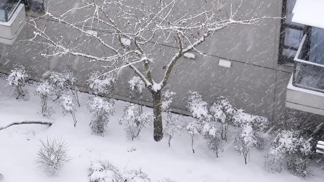 Aerial view of small parterre on cold blizzard snow winter day