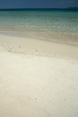 Fototapeta na wymiar Paradise Beach - Iriomote Jima Island, Okinawa, Japan