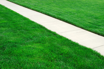 straight trail in the green meadow