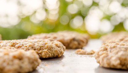 Warm Oatmeal Cookies