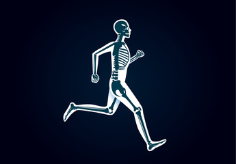 Human Bone Anatomy while run. Illustration about human physical and sport.