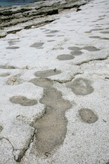 Nagannu Island , Okinawa, South Japan