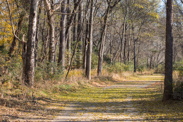 Exercise trail in the fall