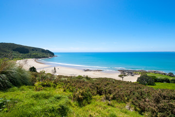 Naklejka premium Shipwreck Bay Ahipara Neuseeland