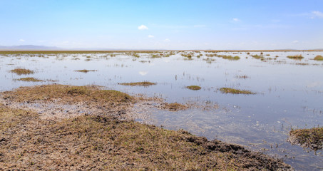 wetland