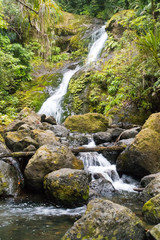 Wasserfall Neuseeland im Urwald
