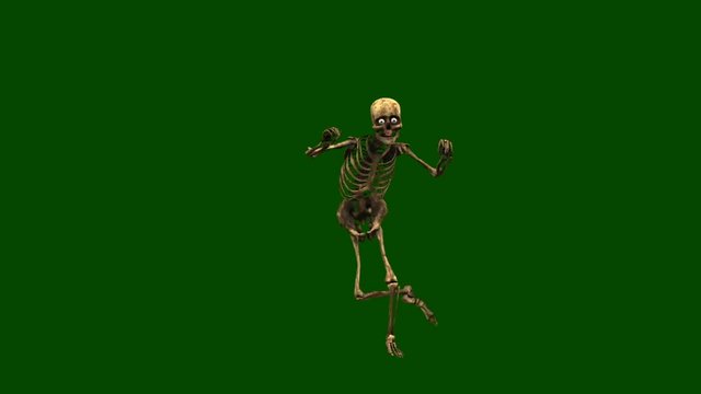 Skeleton dancing hip hop on green background, break dance skeleton isolated on green screen