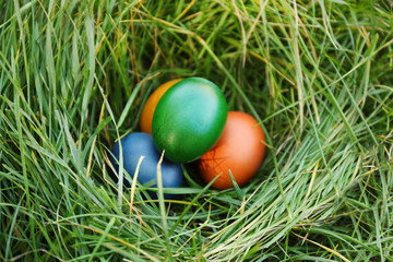 Easter eggs on green grass
