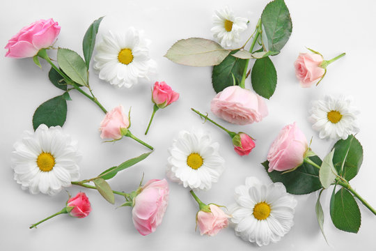 Beautiful flowers on white background