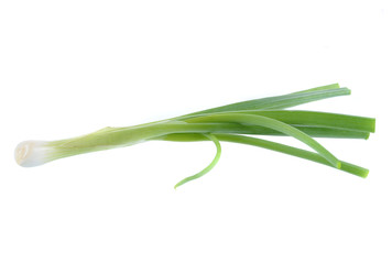 Fototapeta premium Green onion isolated on the white background