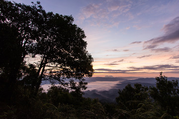 Fototapeta premium Sea Of Mist With Doi Luang Chiang Dao, View Form Doi Dam in Wianghaeng