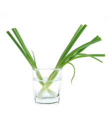 Green onion isolated on the white background