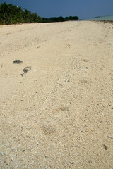 Taketomi Island , Okinawa, Japan
