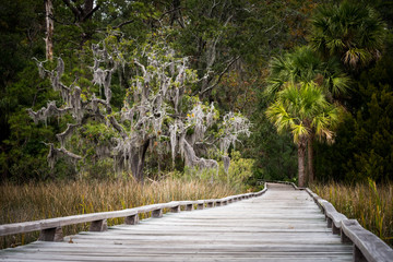 Fototapeta premium A long walk along a boardwalk over the southern marsh in Savannah, Georgia. 