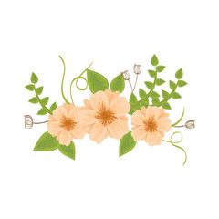 Beautiful flowers ornament icon vector illustration graphic