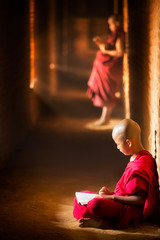 Novice monk reading book - obrazy, fototapety, plakaty