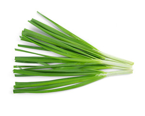 Garlic chives isolated on white background