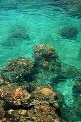 Naklejka na ściany i meble Coral Reef - Yonaguni Island, Okinawa, Japan