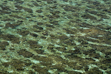 Tropical Sea, Coral Reef - Yonaguni Island, Okinawa, Japan