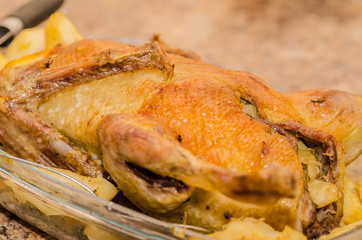 duck, poultry, meat, fried, cooked, food, home cooking, dinner, gourmet, poultry
