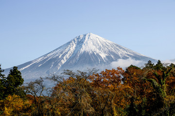 Mt. Fuji