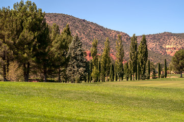 Fototapeta premium Fairway and Green