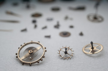 Detail of watch machinery on the table.