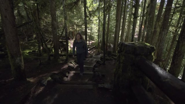 Hiker walking up the Stairs on the Sahalie Falls Trail Oregon Willamette National Forest