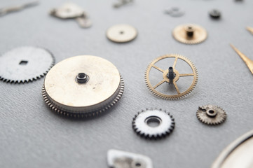 Detail of watch machinery on the table.