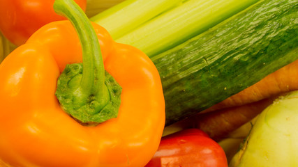 Frisches Gemuese - Paprika,Gurke,Möhren,Tomaten und Stangensell