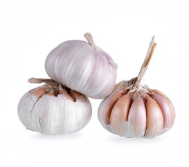 Garlic isolated on white
