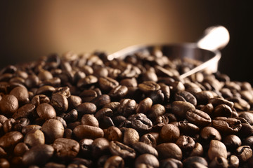 Fresh coffee beans, closeup