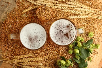  Glasses with fresh beer and ingredients on wooden background © Africa Studio