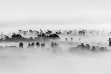 Foto auf Alu-Dibond Schwarz und weiss Nebel über dem Wald, Schwarz-Weiß-Töne in minimalistischer Fotografie