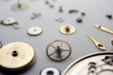 Detail of watch machinery on the table.