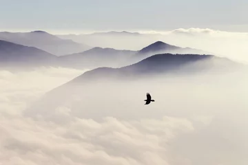 Tuinposter Silhouettes of mountains in the mist and bird flying in warm ton © Oleg Breslavtsev