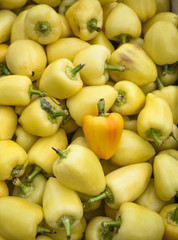 Background of a stacked yellow peppers. Yellow peppers pattern close up.