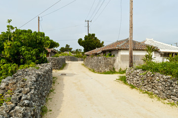 竹富島の集落の道