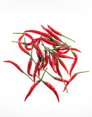 chili pepper isolated on a white background