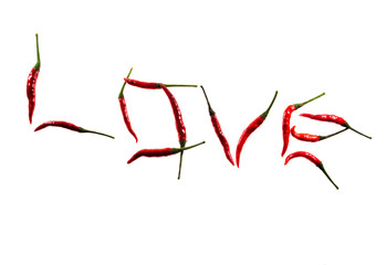 chili pepper isolated on a white background