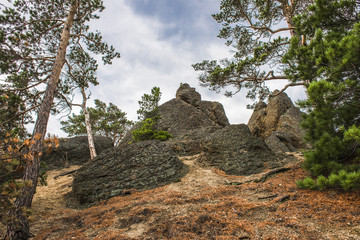 Небо над лесистым холмом
